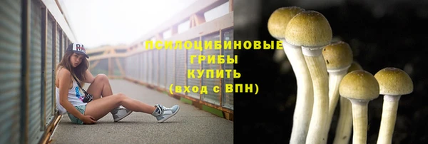 крисы Переславль-Залесский