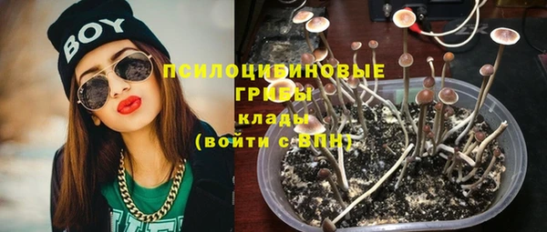 гашик Балабаново