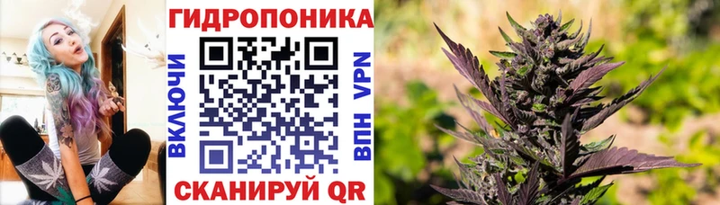 Марихуана планчик  купить закладку  Ульяновск 